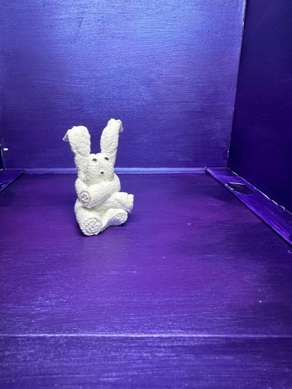 Bella the Bunny