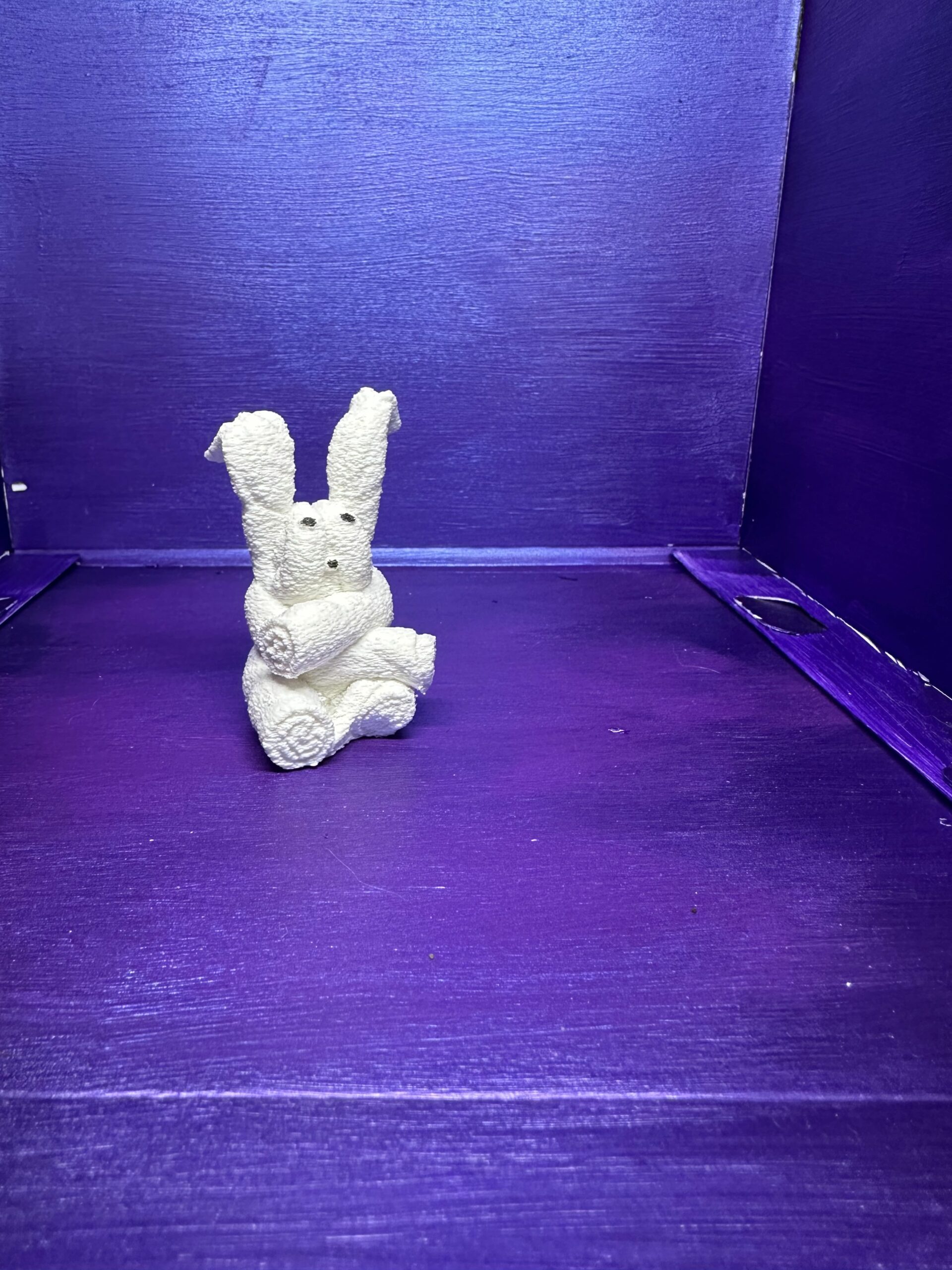 Bella the Bunny