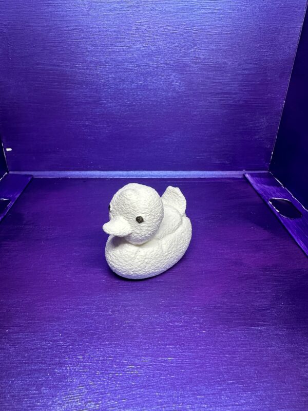 Donnie the Duck - Image 4
