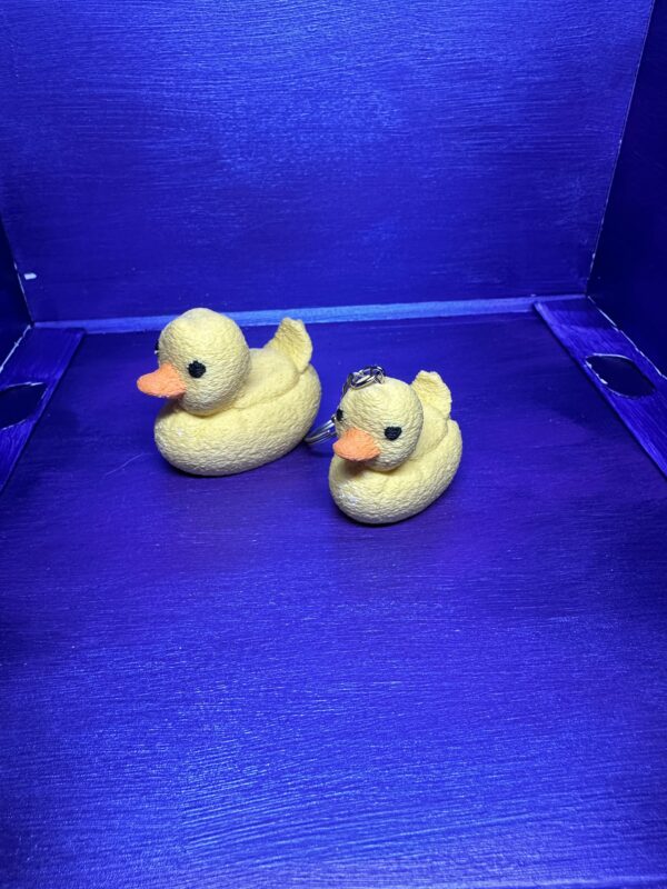 Donnie the Duck - Image 5