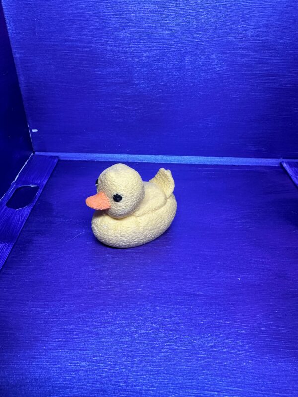 Donnie the Duck - Image 6