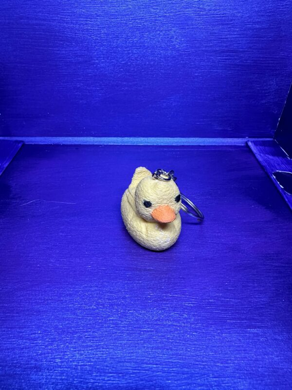 Donnie the Duck - Image 7