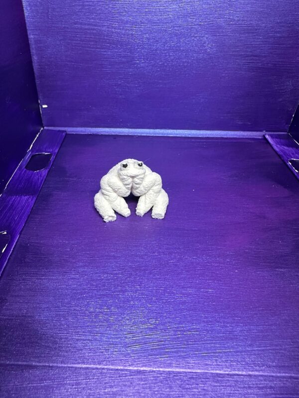 Fuzzy the Frog - Image 5