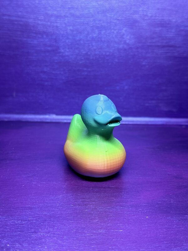 Large ducks without keychain - Image 9