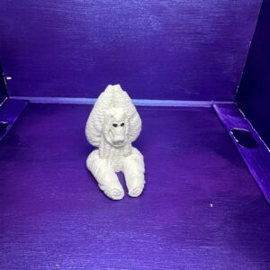 Mango the Monkey