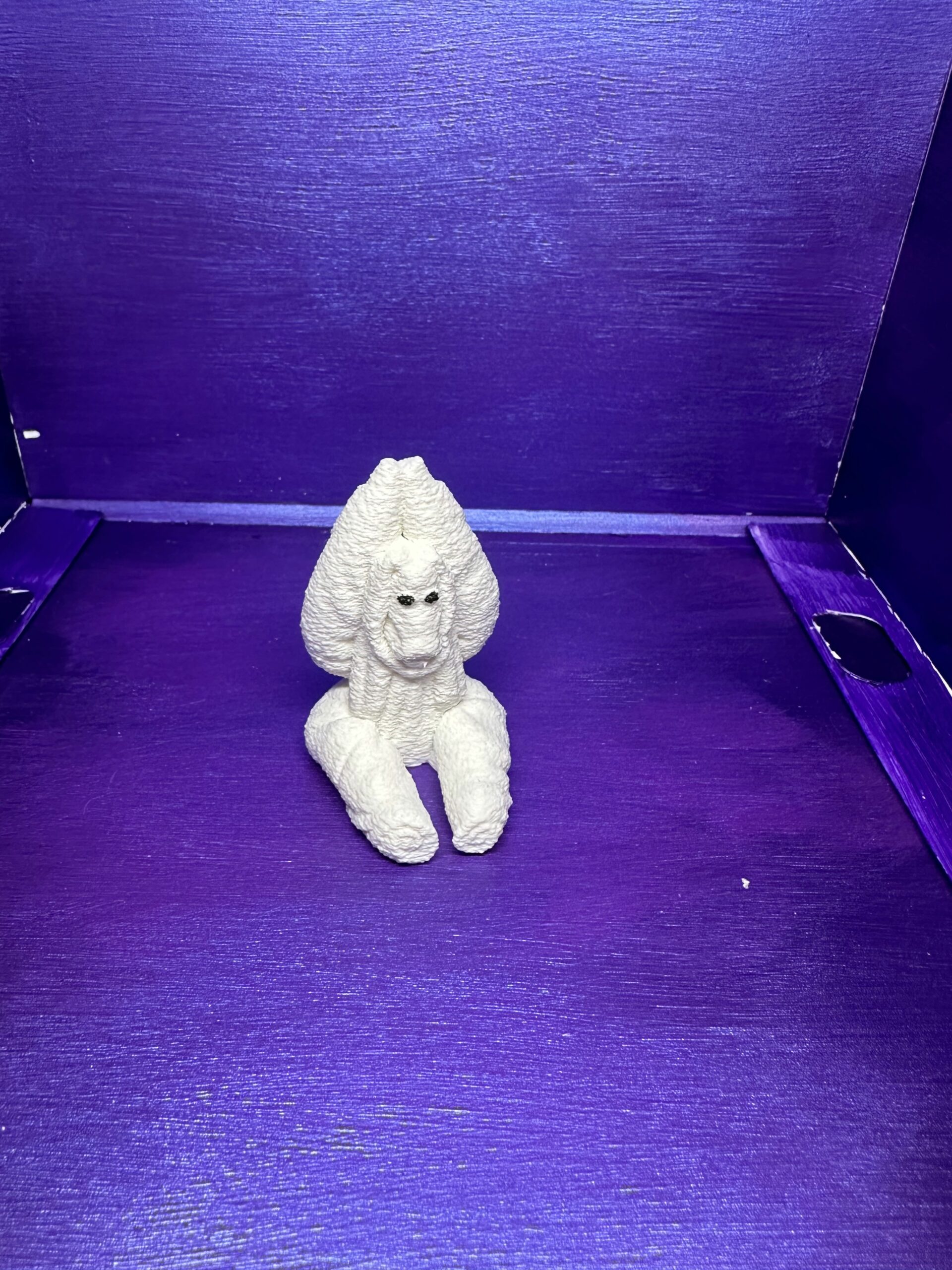 Mango the Monkey