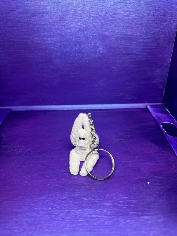 Mango the Monkey - Image 2