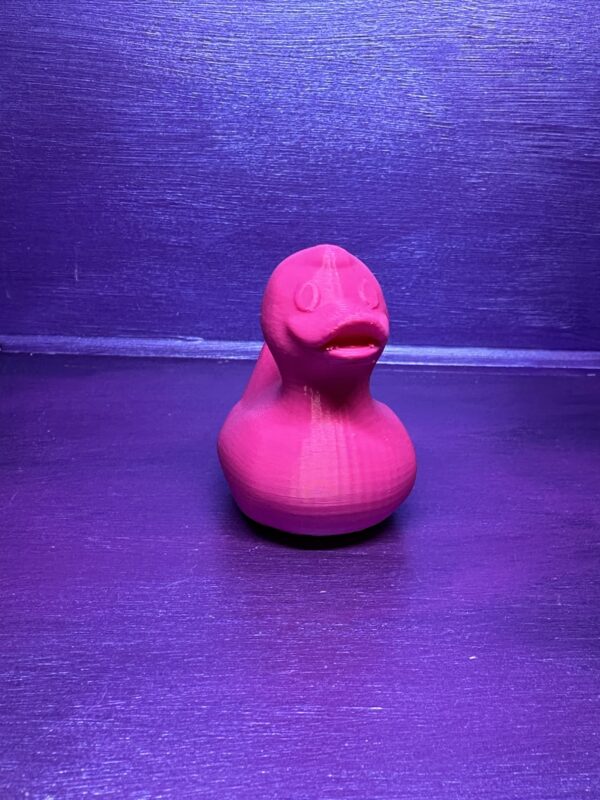 Large ducks without keychain - Image 7