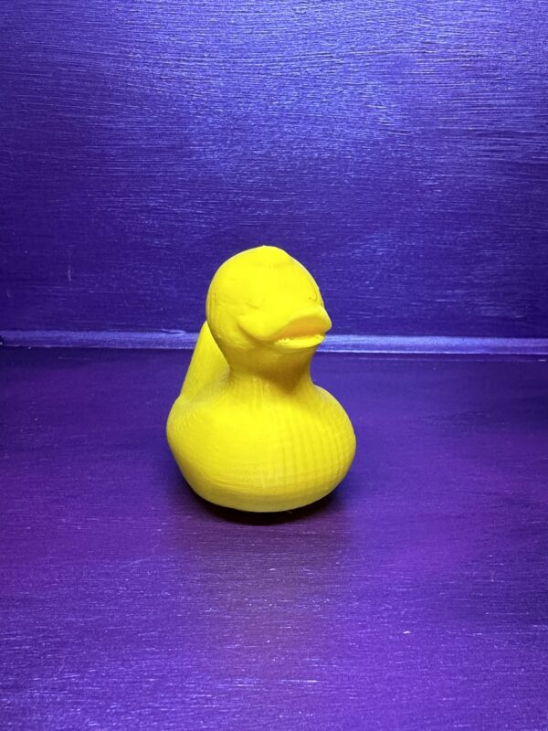 Large ducks without keychain - Image 5