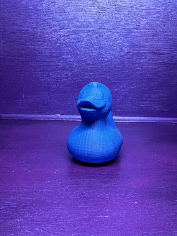Large ducks without keychain - Image 12