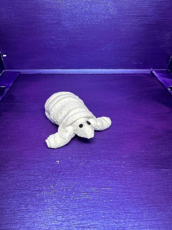 Truffle the Turtle - Image 3