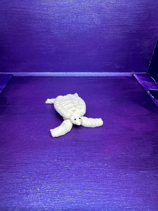 Turbo the Turtle - Image 3