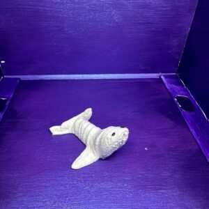 Scooter the Seal