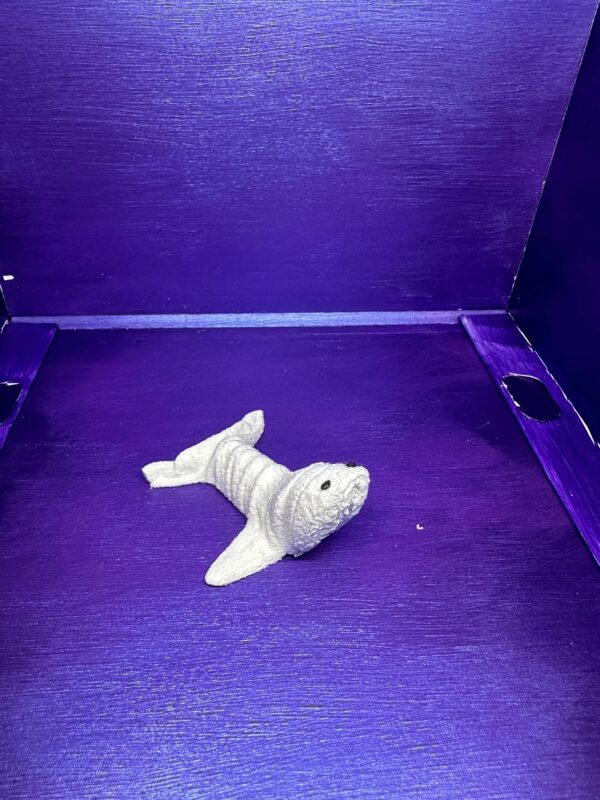 Scooter the Seal