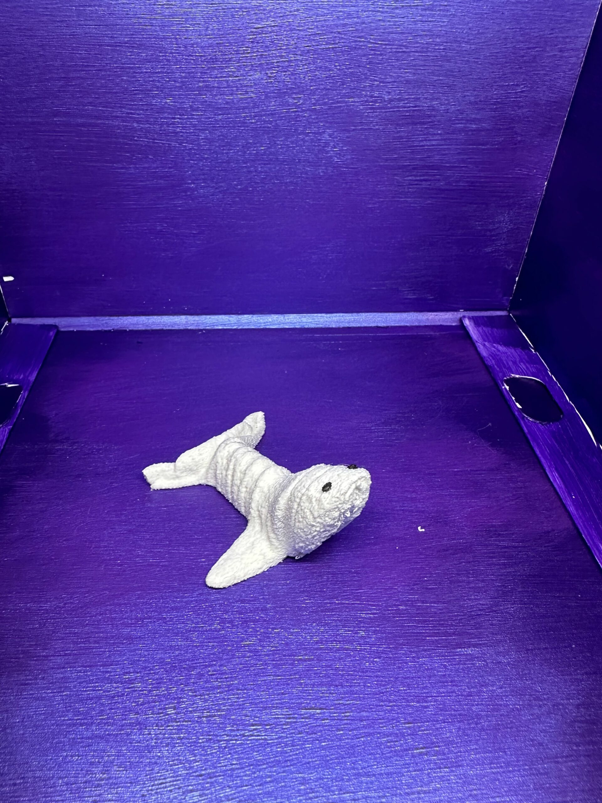 Scooter the Seal