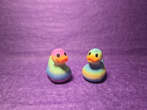 Rainbow Ducks - Image 5