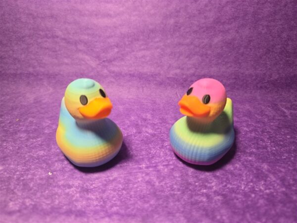 Rainbow Ducks - Image 2
