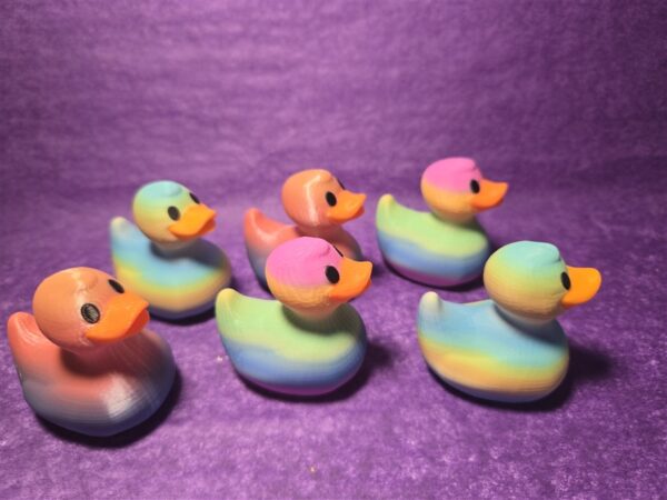 Rainbow Ducks - Image 3