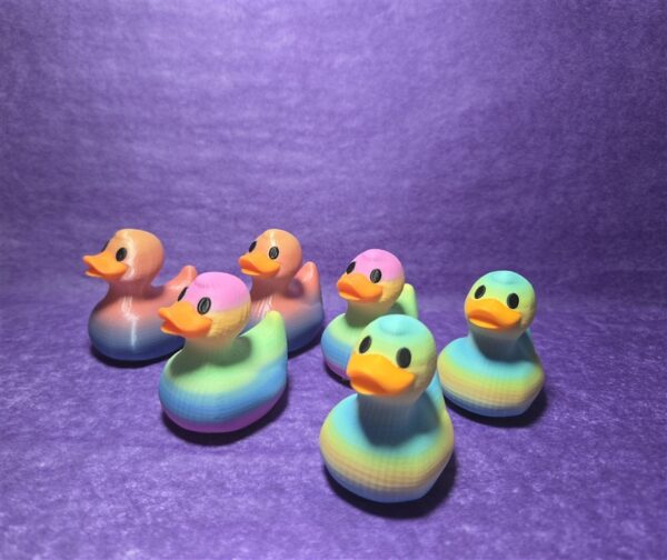 Rainbow Ducks - Image 6