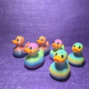 Rainbow Ducks
