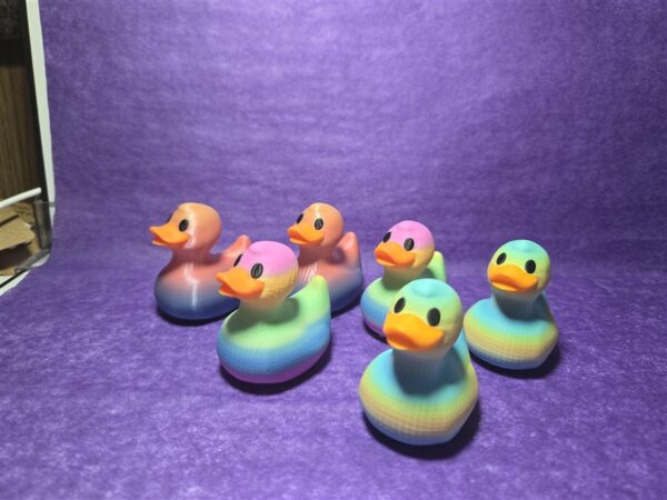 Rainbow Ducks